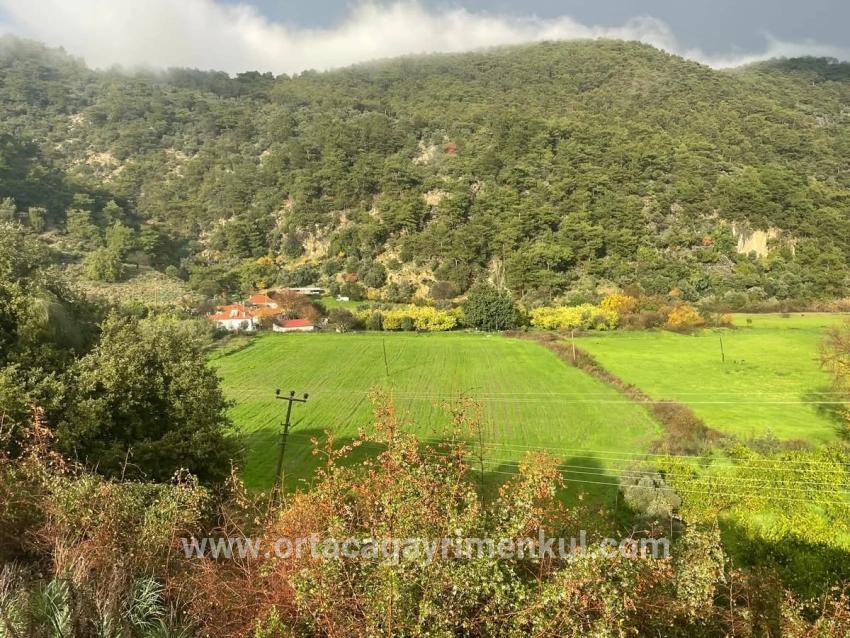 Gelände Zu Verkaufen in Çandır Bz. Köyceğiz - Feld-Zonierung - 35.000 m²