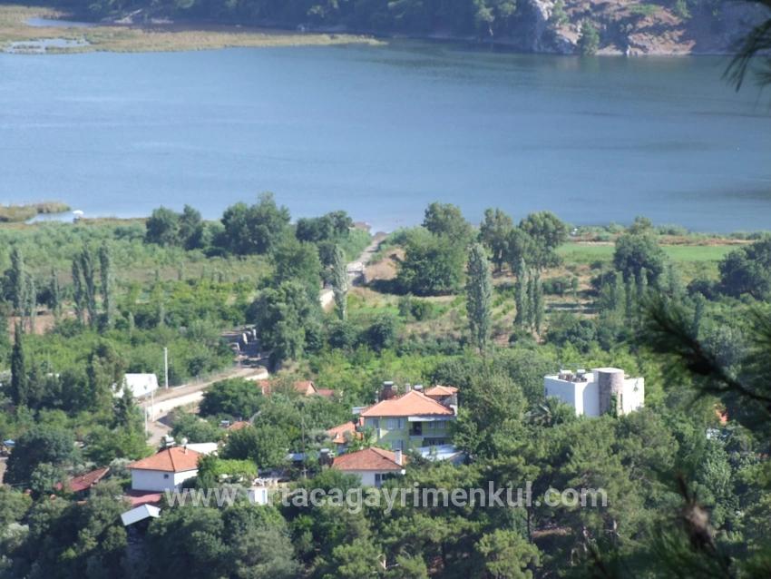 Feld Zu Verkaufen in Çandır Bz. Köyceğiz - Feld-Zonierung - 19.334 m²