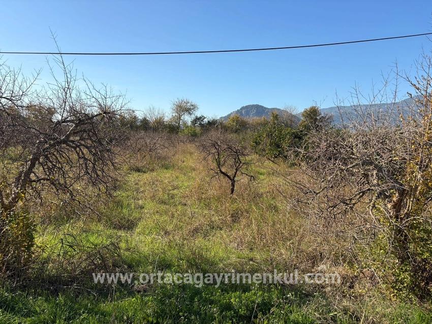 Feld Zu Verkaufen in Dalyan Bz. Ortaca - Feld-Zonierung - 4.541 m²