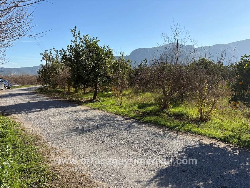 Feld Zu Verkaufen in Dalyan Bz. Ortaca - Feld-Zonierung - 4.541 m²