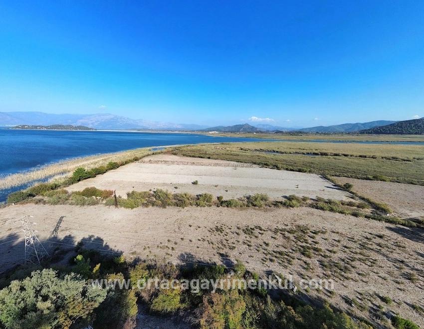 Feld Zu Verkaufen in Sultaniye Bz. Köyceğiz - Feld-Zonierung - 3.210 m²