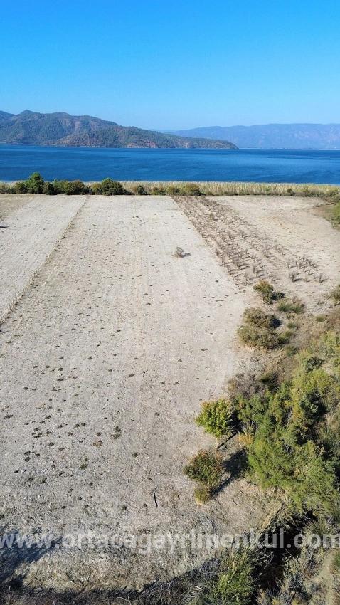 Feld Zu Verkaufen in Sultaniye Bz. Köyceğiz - Feld-Zonierung - 3.210 m²