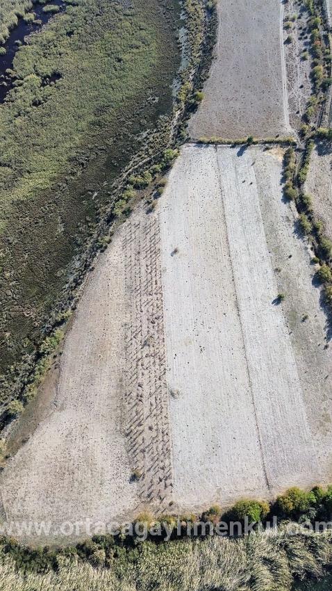 Feld Zu Verkaufen in Sultaniye Bz. Köyceğiz - Feld-Zonierung - 3.210 m²