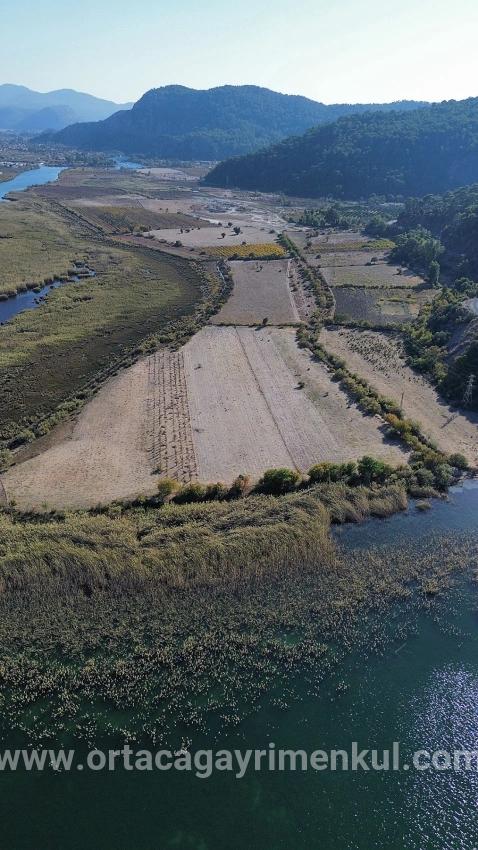 Feld Zu Verkaufen in Sultaniye Bz. Köyceğiz - Feld-Zonierung - 3.210 m²