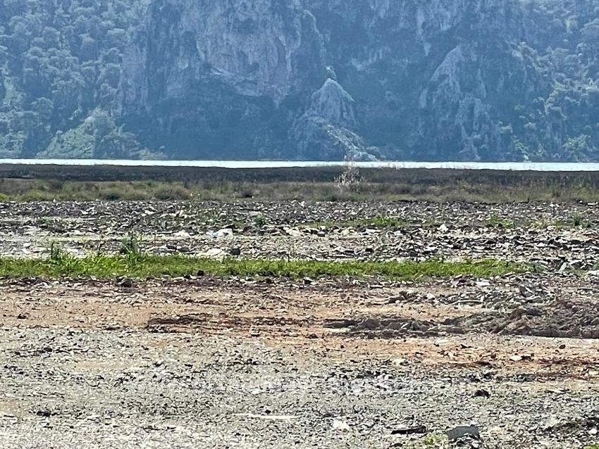 Feld Zu Verkaufen in Dalyan Bz. Ortaca - Gehäuse-Zonierung - 19.600 m²