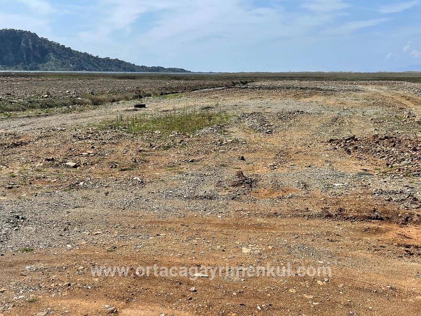 Feld Zu Verkaufen in Dalyan Bz. Ortaca - Gehäuse-Zonierung - 19.600 m²