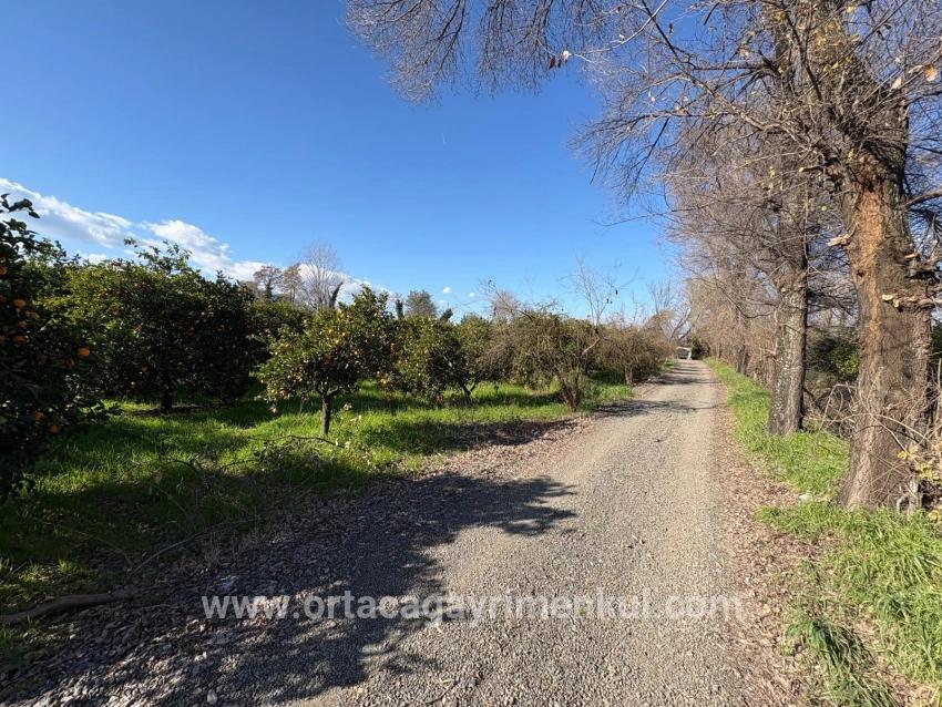 Land Zu Verkaufen in Okçular Bz. Ortaca - Gehäuse-Zonierung - 4.326 m²