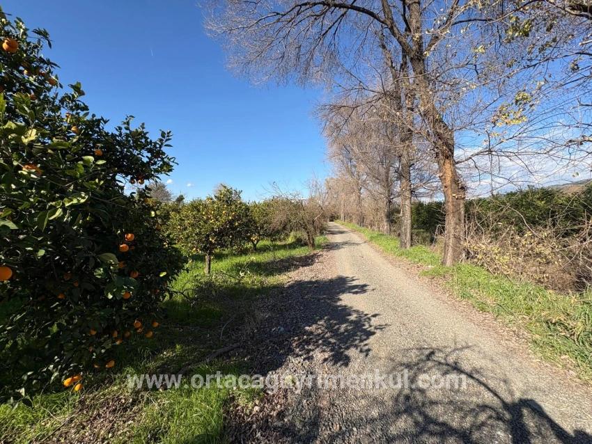 Land Zu Verkaufen in Okçular Bz. Ortaca - Gehäuse-Zonierung - 4.326 m²