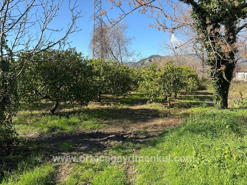 Feld Zu Verkaufen in Dalyan Bz. Ortaca - Feld-Zonierung - 16.500 m²