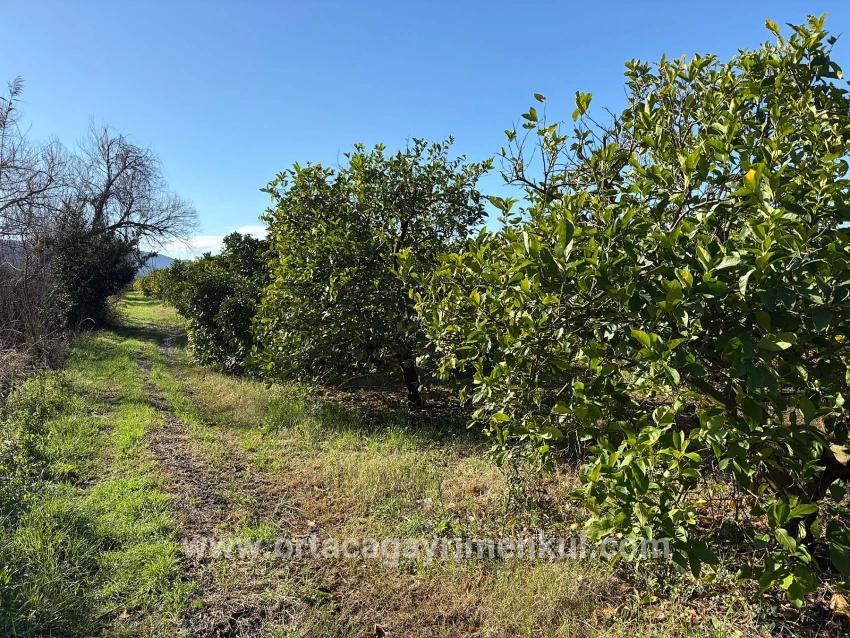 Feld Zu Verkaufen in Dalyan Bz. Ortaca - Feld-Zonierung - 16.500 m²