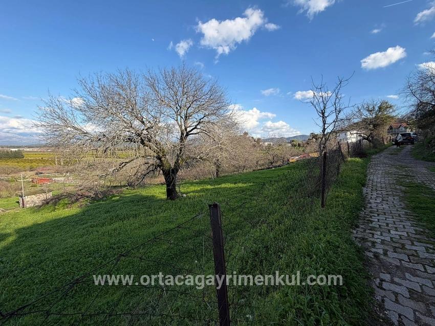 Feld Zu Verkaufen in Dalyan Bz. Ortaca - Feld-Zonierung - 11.230 m²