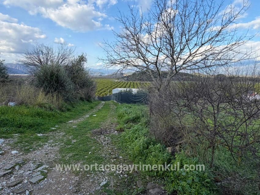 Feld Zu Verkaufen in Dalyan Bz. Ortaca - Feld-Zonierung - 11.230 m²