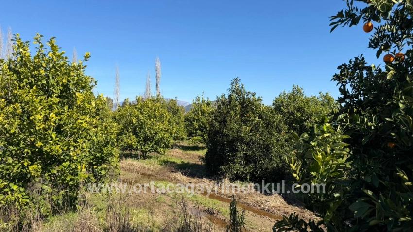 Land Zu Verkaufen in Okçular Bz. Ortaca - Gehäuse-Zonierung - 2.218 m²