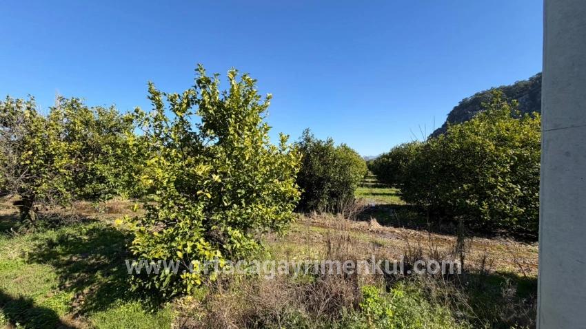 Land Zu Verkaufen in Okçular Bz. Ortaca - Gehäuse-Zonierung - 2.218 m²