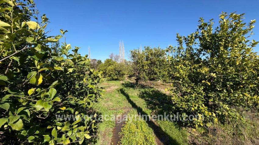 Land Zu Verkaufen in Okçular Bz. Ortaca - Gehäuse-Zonierung - 2.218 m²
