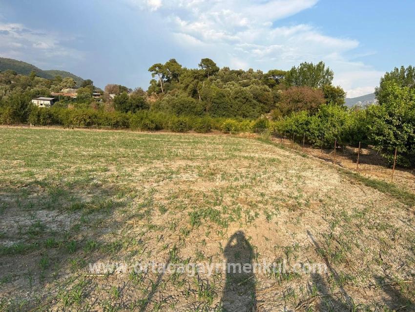 Feld Zu Verkaufen in Çandır Bz. Köyceğiz - Gehäuse-Zonierung - 1.150 m²