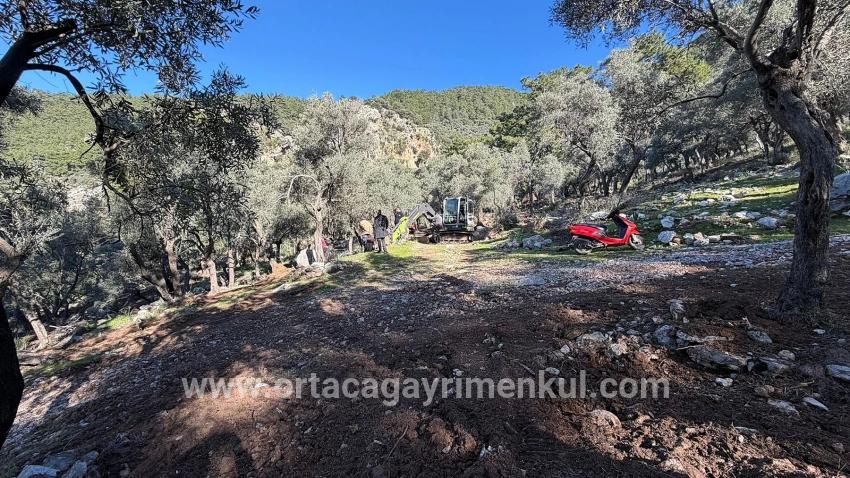 Feld Zu Verkaufen in Çandır Bz. Köyceğiz - Gehäuse-Zonierung - 5.715 m²