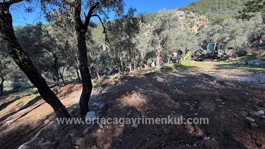Feld Zu Verkaufen in Çandır Bz. Köyceğiz - Gehäuse-Zonierung - 5.715 m²