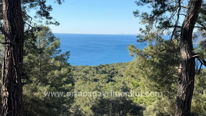 Feld Zu Verkaufen in Çandır Bz. Köyceğiz - Gehäuse-Zonierung - 5.715 m²