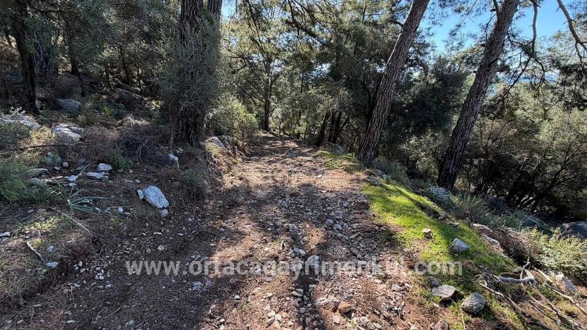 Feld Zu Verkaufen in Çandır Bz. Köyceğiz - Gehäuse-Zonierung - 5.715 m²