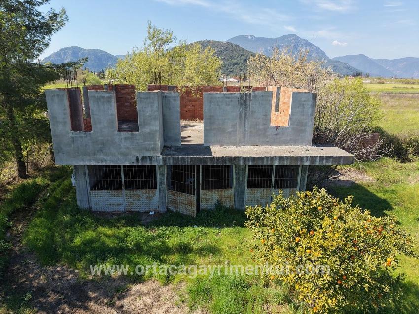 Weinberg & Garten Zu Verkaufen in Dalyan Bz. Ortaca - Weinberg & Garten-Zonierung - 17.550 m²