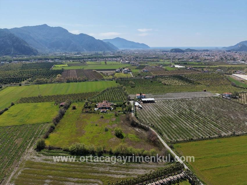Weinberg & Garten Zu Verkaufen in Dalyan Bz. Ortaca - Weinberg & Garten-Zonierung - 17.550 m²