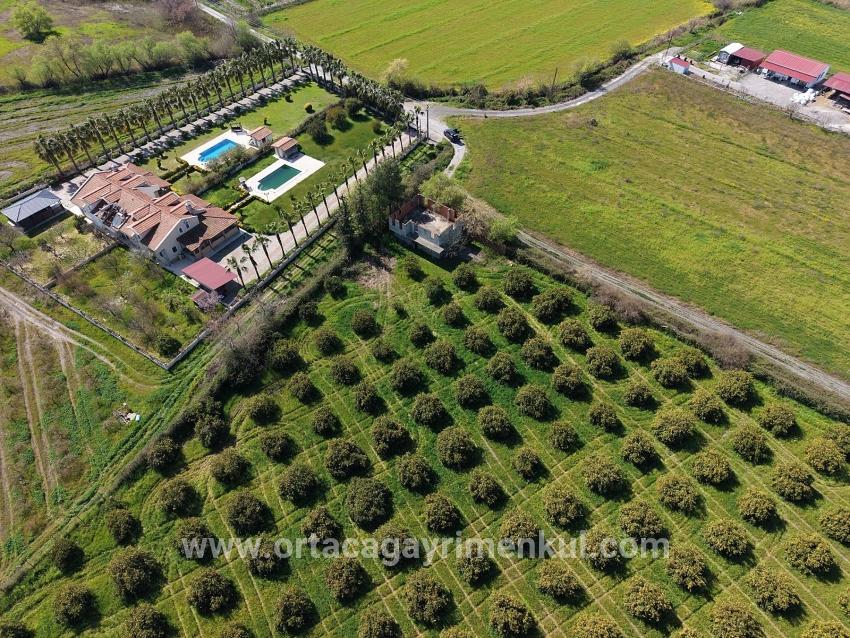 Weinberg & Garten Zu Verkaufen in Dalyan Bz. Ortaca - Weinberg & Garten-Zonierung - 17.550 m²
