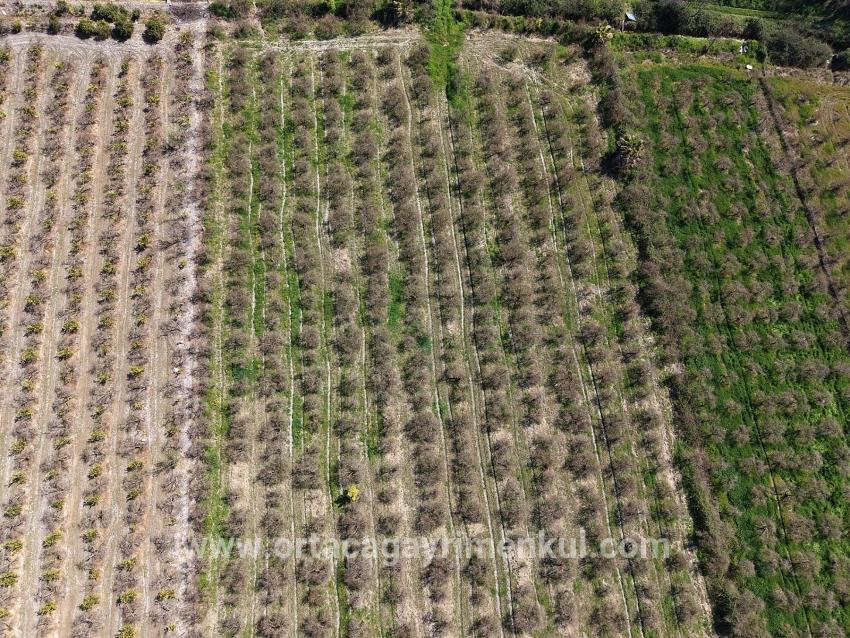 Feld Zu Verkaufen in Eskiköy Bz. Ortaca - Feld-Zonierung - 16.710 m²