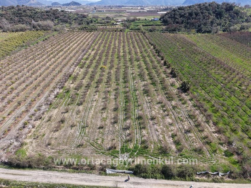 Feld Zu Verkaufen in Eskiköy Bz. Ortaca - Feld-Zonierung - 16.710 m²