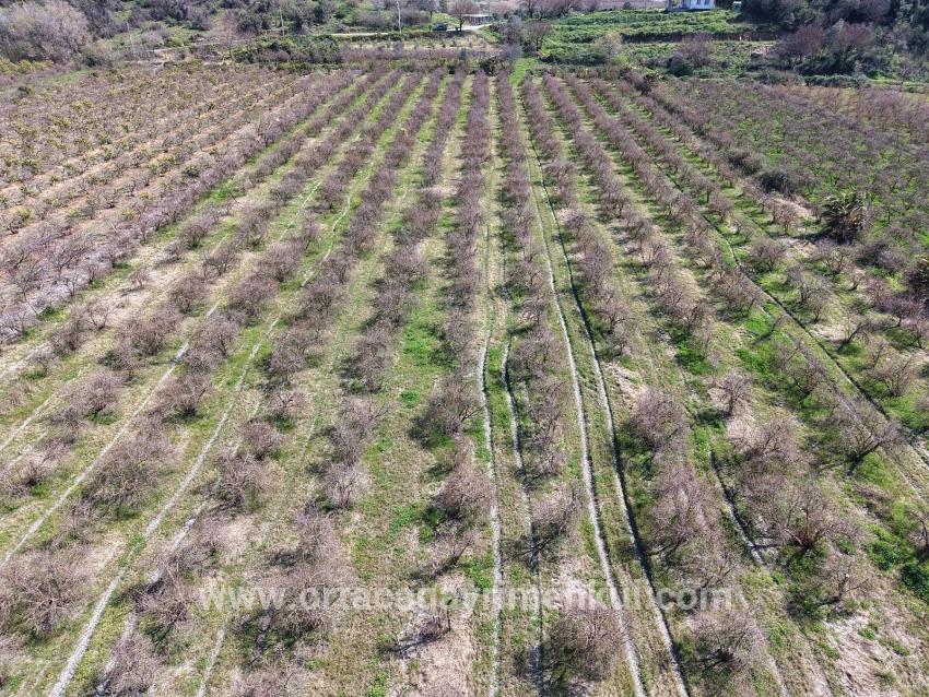 Feld Zu Verkaufen in Eskiköy Bz. Ortaca - Feld-Zonierung - 16.710 m²