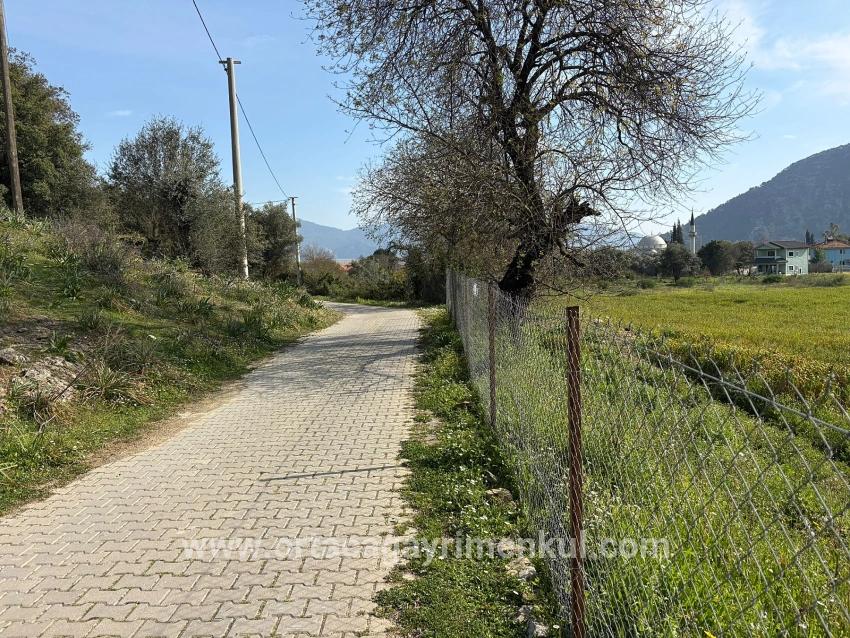 Feld Zu Verkaufen in Çandır Bz. Köyceğiz - Gehäuse-Zonierung - 2.023 m²