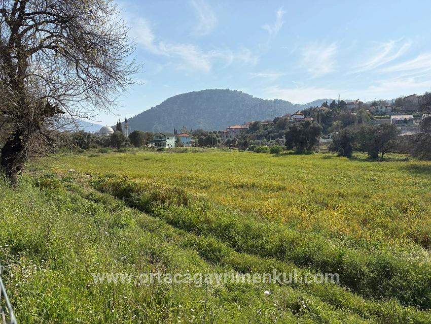 Feld Zu Verkaufen in Çandır Bz. Köyceğiz - Gehäuse-Zonierung - 2.023 m²