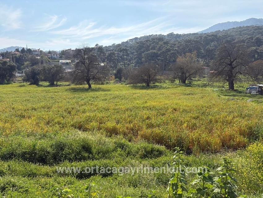 Feld Zu Verkaufen in Çandır Bz. Köyceğiz - Gehäuse-Zonierung - 2.023 m²