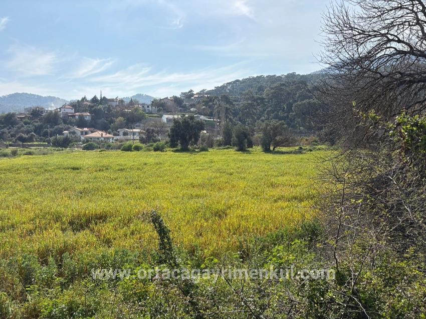Feld Zu Verkaufen in Çandır Bz. Köyceğiz - Gehäuse-Zonierung - 2.023 m²