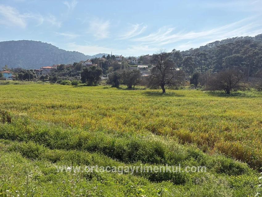 Feld Zu Verkaufen in Çandır Bz. Köyceğiz - Gehäuse-Zonierung - 2.023 m²