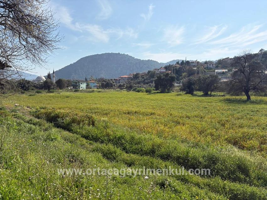 Feld Zu Verkaufen in Çandır Bz. Köyceğiz - Gehäuse-Zonierung - 2.023 m²