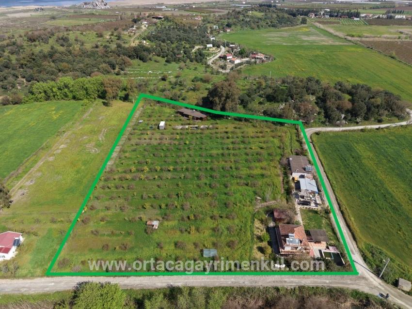 Herberge Zu Verkaufen in Eskiköy Bz. Ortaca - 11.000 m²