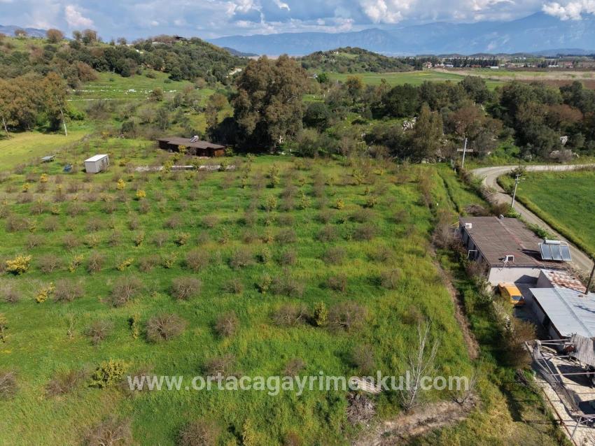 Herberge Zu Verkaufen in Eskiköy Bz. Ortaca - 11.000 m²