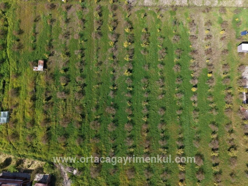 Herberge Zu Verkaufen in Eskiköy Bz. Ortaca - 11.000 m²