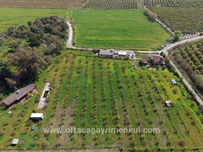 Herberge Zu Verkaufen in Eskiköy Bz. Ortaca - 11.000 m²