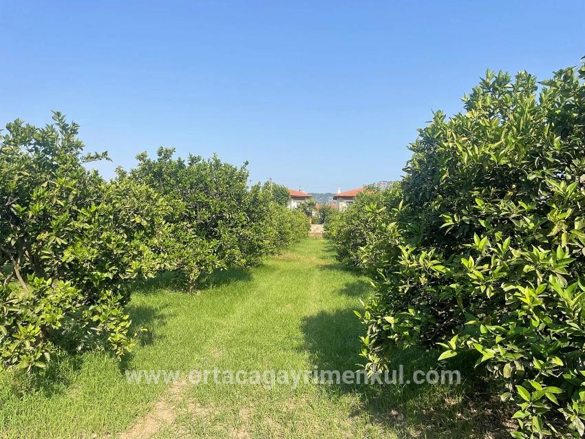 Land Zu Verkaufen in Dalyan Bz. Ortaca - Gehäuse-Zonierung - 722 m²