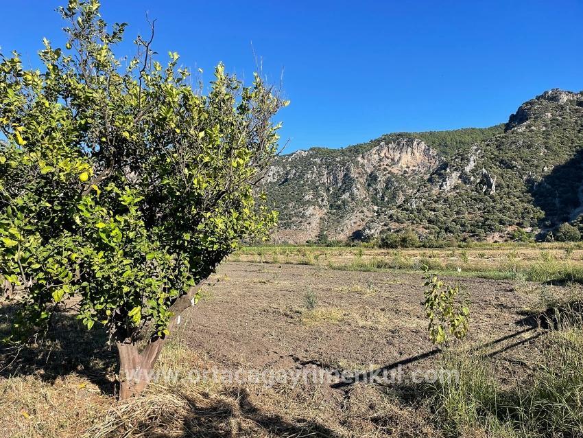 Feld Zu Verkaufen in Dalyan Bz. Ortaca - Feld-Zonierung - 6.600 m²