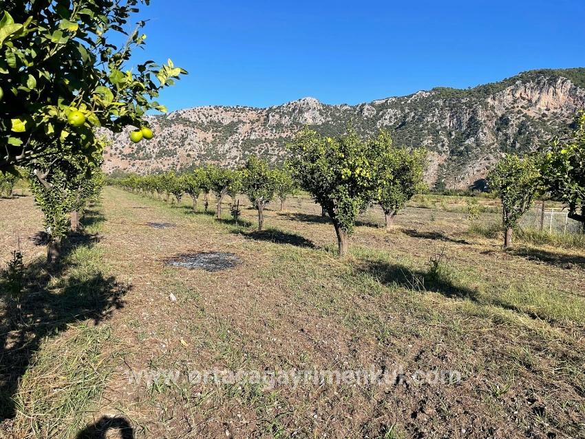 Feld Zu Verkaufen in Dalyan Bz. Ortaca - Feld-Zonierung - 6.600 m²