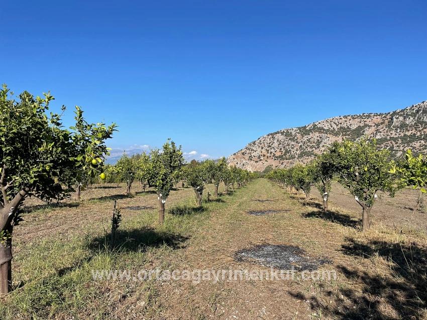 Feld Zu Verkaufen in Dalyan Bz. Ortaca - Feld-Zonierung - 6.600 m²