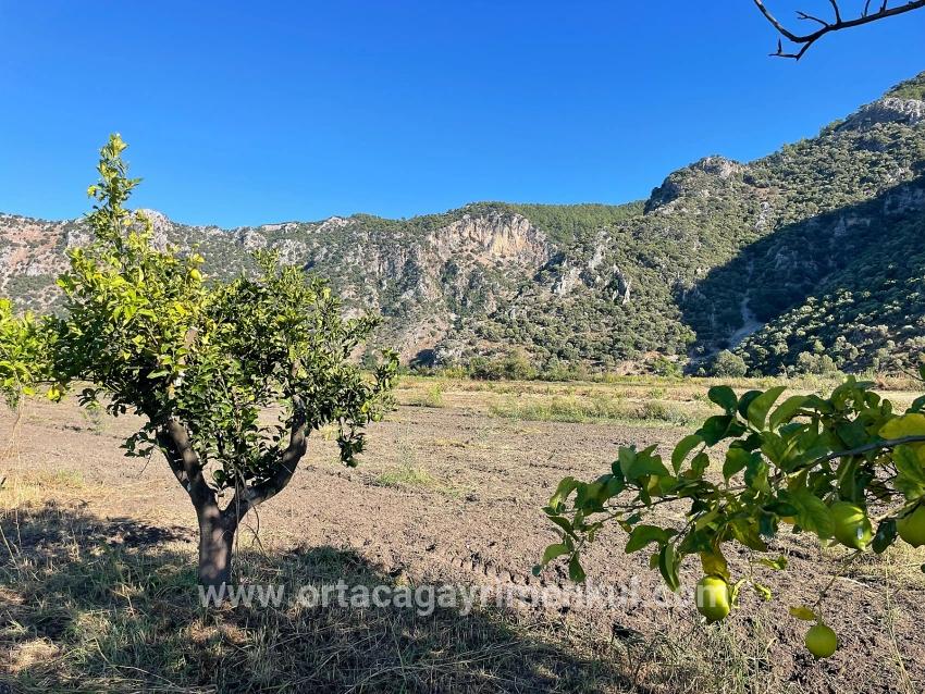 Feld Zu Verkaufen in Dalyan Bz. Ortaca - Feld-Zonierung - 6.600 m²