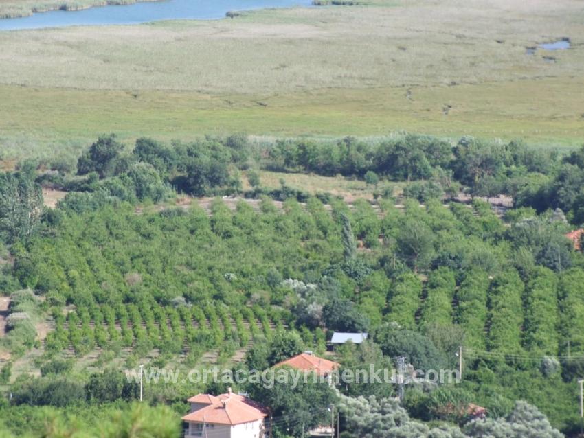 Feld Zu Verkaufen in Çandır Bz. Köyceğiz - Feld-Zonierung - 1.252 m²