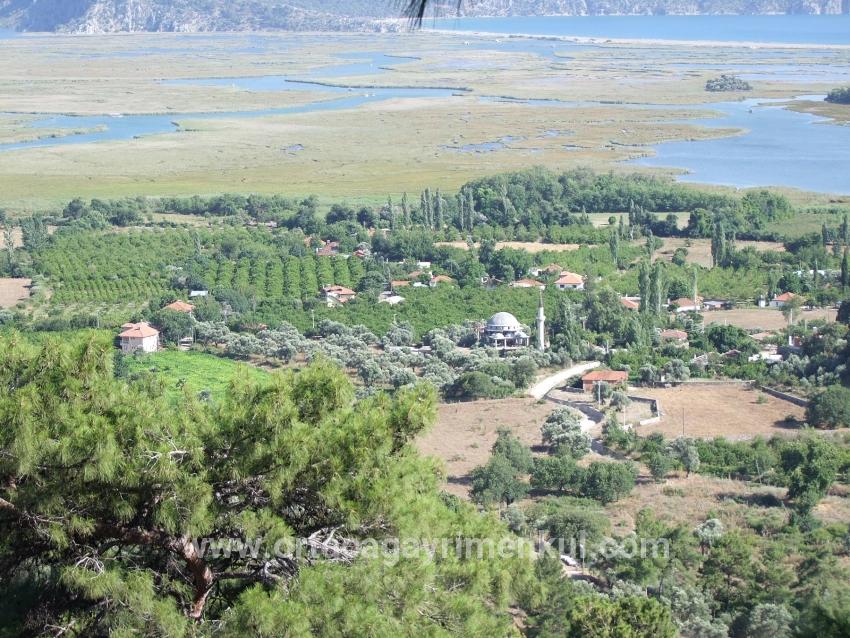 Feld Zu Verkaufen in Çandır Bz. Köyceğiz - Feld-Zonierung - 1.252 m²