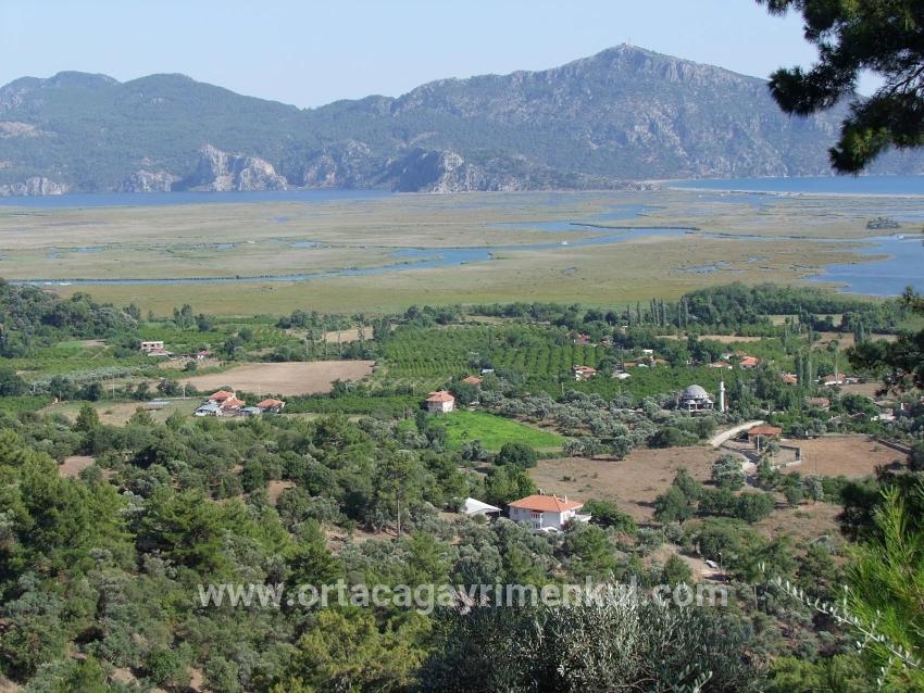 Feld Zu Verkaufen in Çandır Bz. Köyceğiz - Feld-Zonierung - 1.252 m²