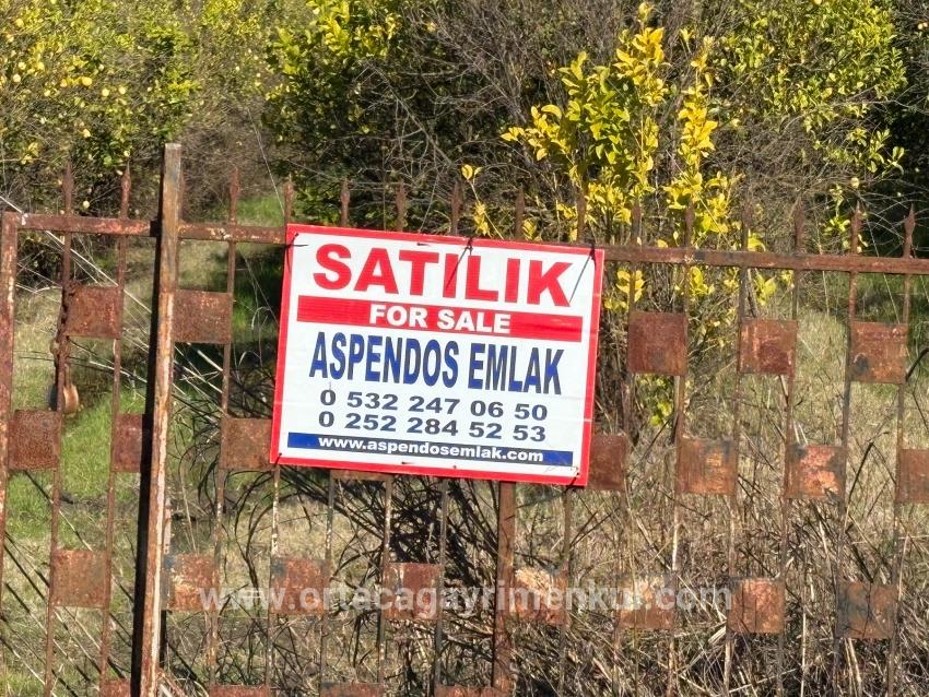 Feld Zu Verkaufen in Tepearası Bz. Ortaca - Weinberg & Garten-Zonierung - 23.000 m²
