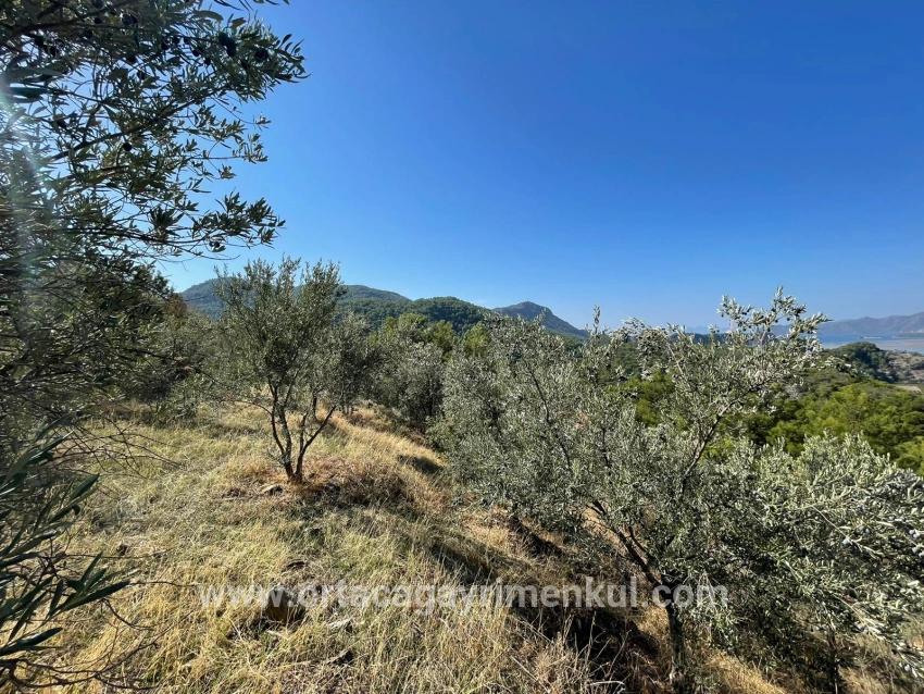 Land Zu Verkaufen in Gökbel Bz. Ortaca - Gehäuse-Zonierung - 3.514 m²